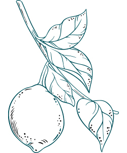 Citrus