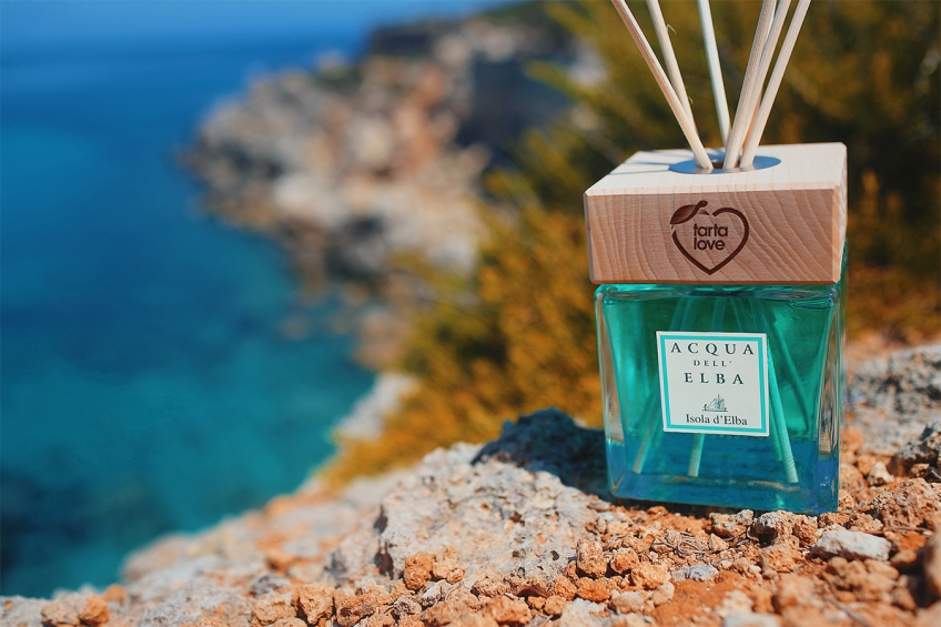 Tartalove: Our Project for the Safeguard of Sea Turtles