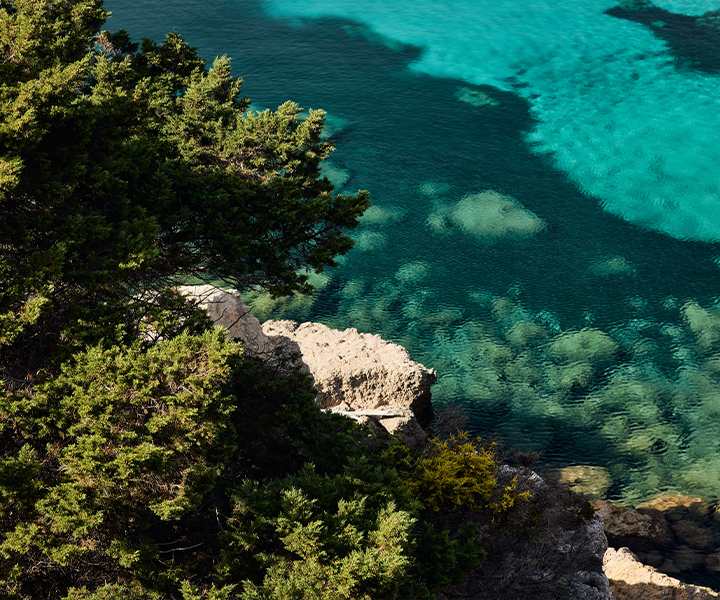 Acqua dell’Elba