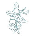 Fruchtige