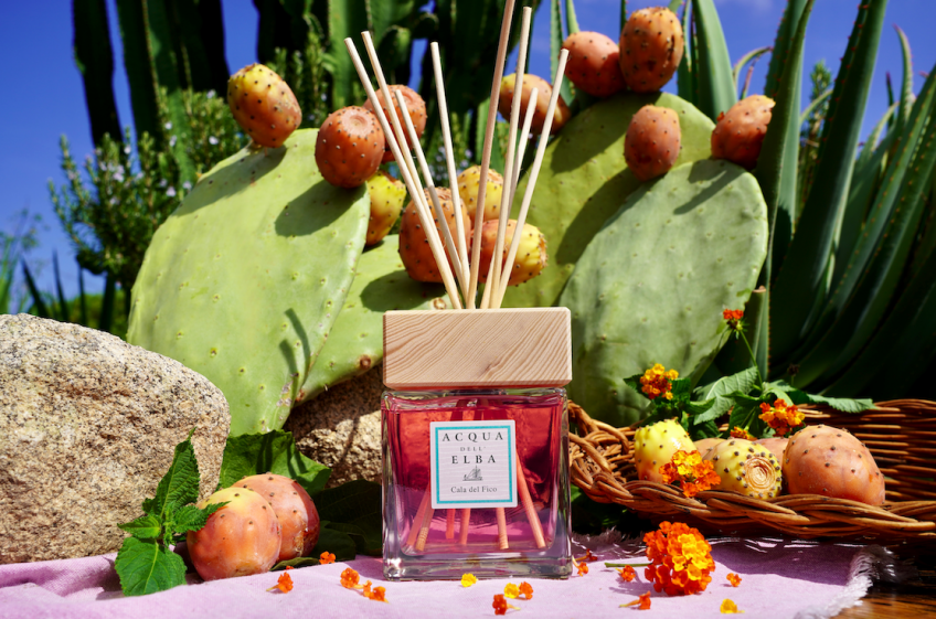 Laissez-vous séduire par l'atmosphère méditerranéenne grâce au diffuseur de parfum d'ambiance « Cala del Fico »