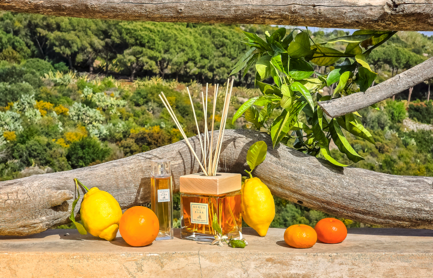 "Baia degli Agrumi", un giardino mediterraneo tutto per te