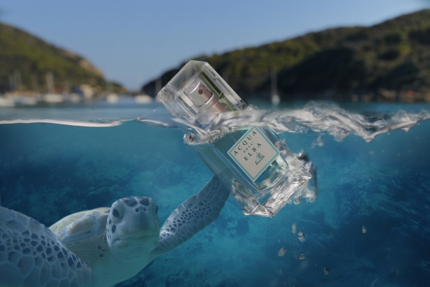 GREEN FRIDAY : DEUX CADEAUX POUR VOUS ET UN CADEAU POUR LA TORTUE ELBA