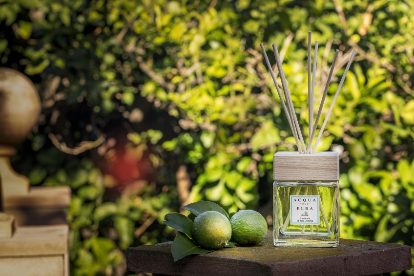 Limonaia di Sant'Andrea: scents and colours of autumn.